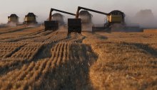 Продовольствие важнее нефти: пока мир смотрит на Ормуз, горит урожай